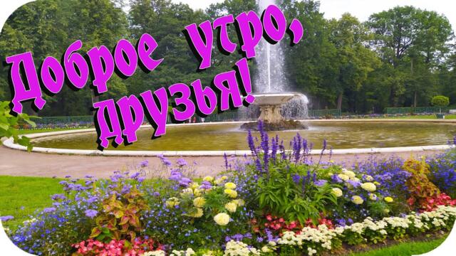 Доброе утро, друзья! ❤️Я вам желаю огромной радости и впечатлений! ❤️Красивая музыкальная открытка❤️