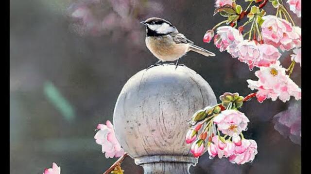 ДО СВИДАНЬЯ, КРАСИВОЕ ЛЕТО
