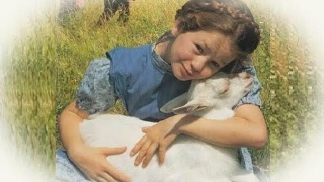 Хайди - БГ аудио (BG audio) HD