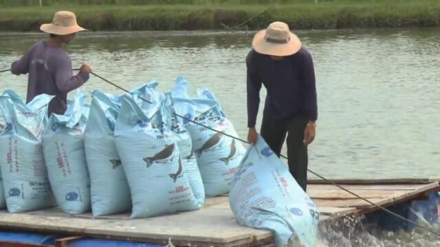 Farmed Norwegian Salmon  World’s Most Toxic Food