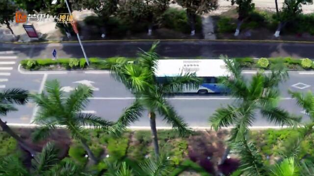 Secrets in the Lattice Episode 19 EngSub