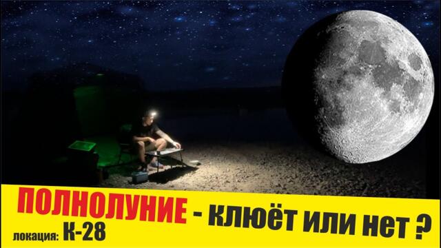 Полнолуние - клюет или нет? Рыбалка на К28 в кругу единомышленников. Август 2021