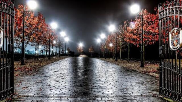 Полнолуние/АСМР/ASMR/Очаровывающие звуки арфы/ЗАВЫВАНИЕ ВЕТРА/звук КАБЛУЧКОВ/МИСТИЧЕСКАЯ АТМОСФЕРА