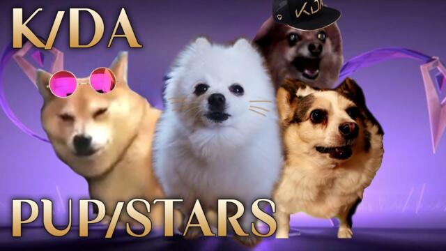 K/DA - POP/STARS 강아지 리믹스 ( dog cover )