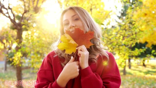 Очень красивая музыка! Сергей Чекалин - Осень.