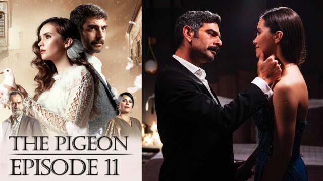 Güvercin | The Pigeon Episode 11 (English Subtitles)