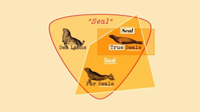 How to Identify a Seal