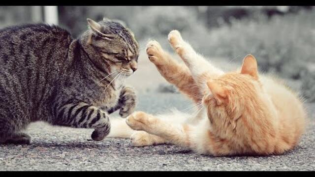 Леко чийтнах системата ;D МНОГО СМЯХ