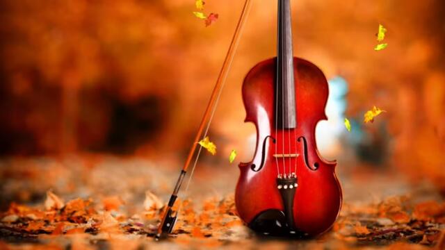 Heavenly Music 🎻 Violin & Cello 🍁Scenic Relaxation Film 🍁 Fall 4k