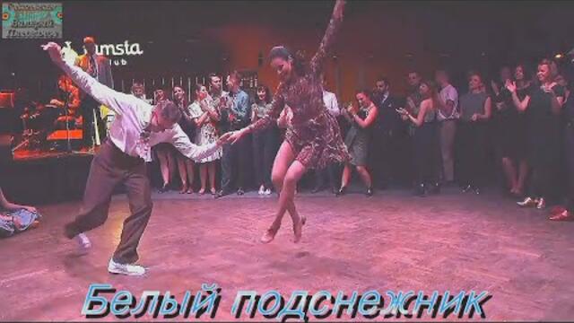 Виктор Королёв - Белый подснежник