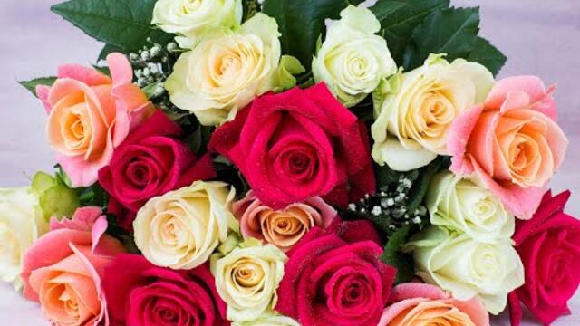 Вячеслав Анисимов   -   НАША С ТОБОЙ ЛЮБОВЬ!