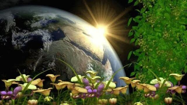 Александр Сумин   -   УСПОКОЙСЯ, ВДОХНИ