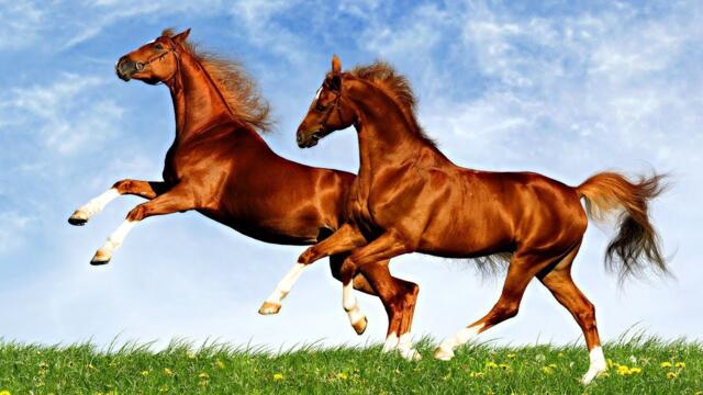 Это Безумно Красивая Мелодия, трогающая до глубины души!Эту музыку можно слушать вечно!