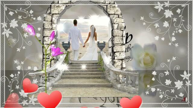 Андрей Обидин  -  "Вальс со звездами"/ Свадебное видео