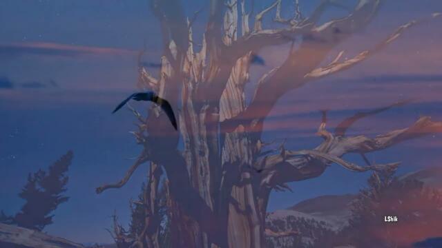 Сергей Чекалин - "Под звездами" - Музыка для души