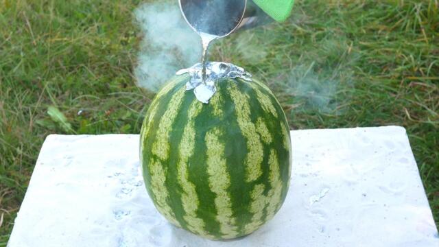 Experiment: Molted Lead vs Watermelon