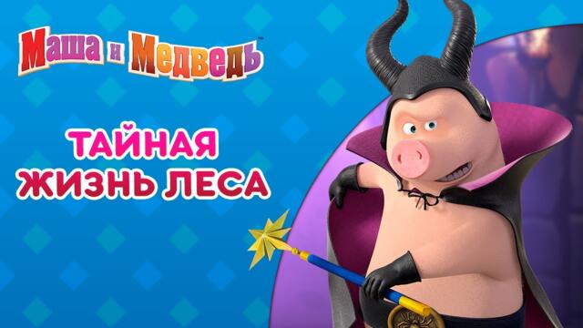 Маша и Медведь 👱‍♀️🦊 Тайная жизнь леса 🌳🤫 Сборник лучших серий про Машу 🎬