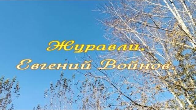 Евгений Войнов  -  Журавли