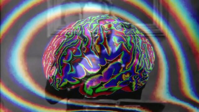 Josh Johnson: Green Trees /  Burnt Leaves (Official Music Video)