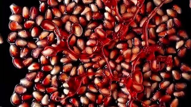 Adventures In Imagination_ M&S Food - TV Ad 2014