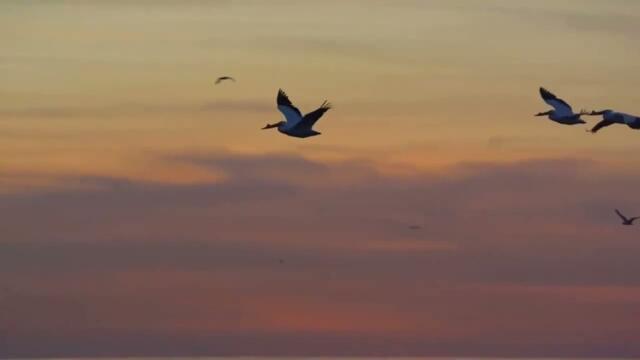 Анатолий Кулагин   -   ОСЕНЬ