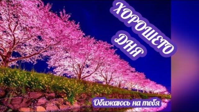 ДОБРОГО ДНЯ ВСЕМ🌹 ЖЕЛАЮ СЧАСТЛИВОЙ СУББОТЫ🥰😍|