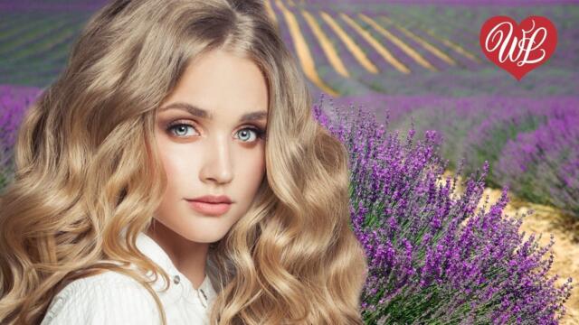 Александр Серов   -   МИШЕЛЬ