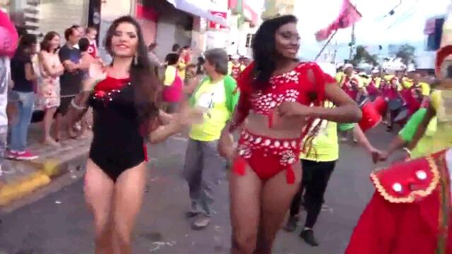 BLOCO DA VACA   CARNAVAL ARTUR NOGUEIRA 2015 P1