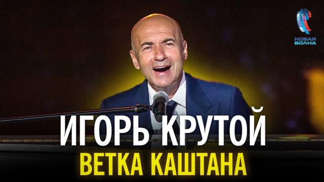 Игорь Крутой - Ветка каштана
