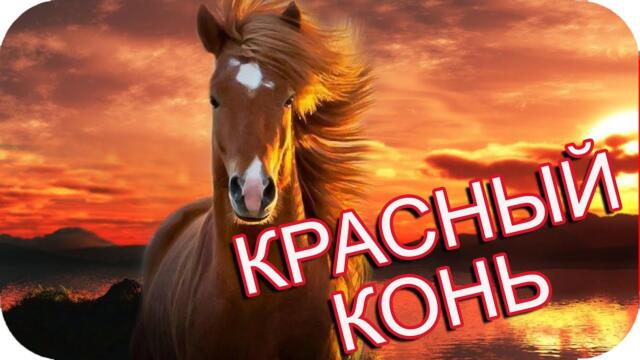 Аркадий Шахов, Маргарита Рай   -   Красный конь