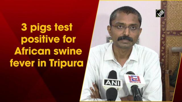 3 pigs test positive for African swine fever in Tripura