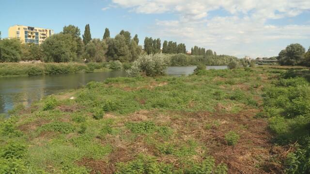 Внимание опасност за Пловдив!!! Опасност от наводнения в Пловдив заради непочистеното корито на река Марица