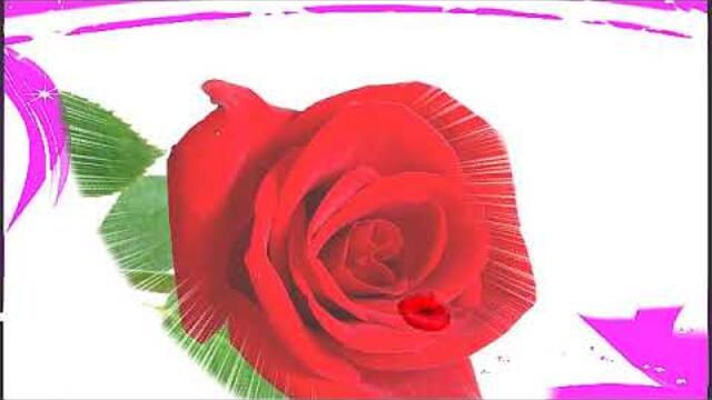 Ирина Баженова Радужный  - "Ты моя жизнь"