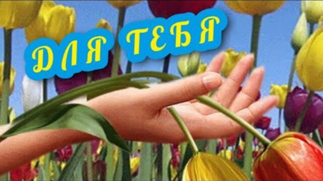 ДОБРЫЙ ВЕЧЕР - ДЛЯ ТЕБЯ🌹