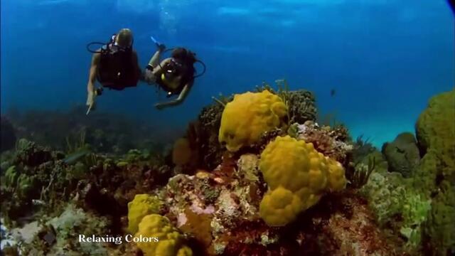 Relaxing For Beautiful Life-Number 3