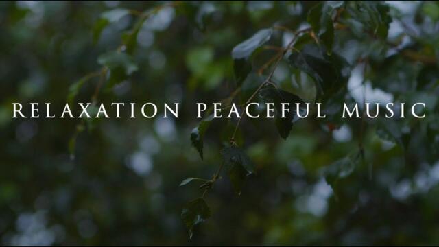 Beautiful Relaxation Peaceful Music #31