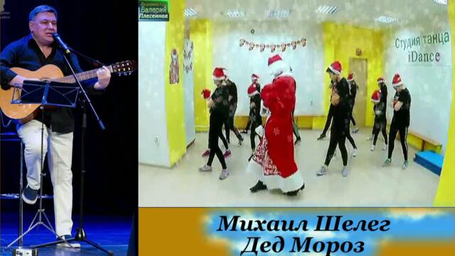 Михаил Шелег - Дед Мороз