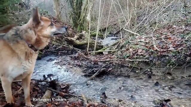 Relaxing For Beautiful Life-Number 9