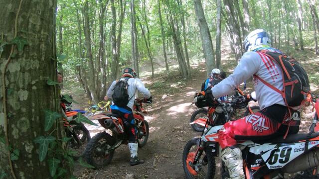 Неделна разходка до с.Долище