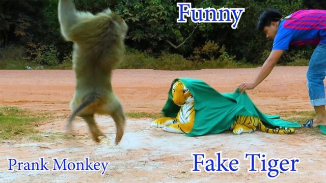 Fake Tiger Prank Monkey and Dog So Funny in 2021