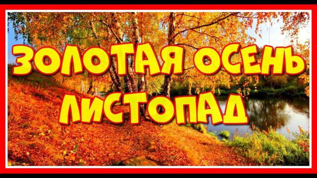 Эльдара Мансурова/ "Золотая осень. Листопад"