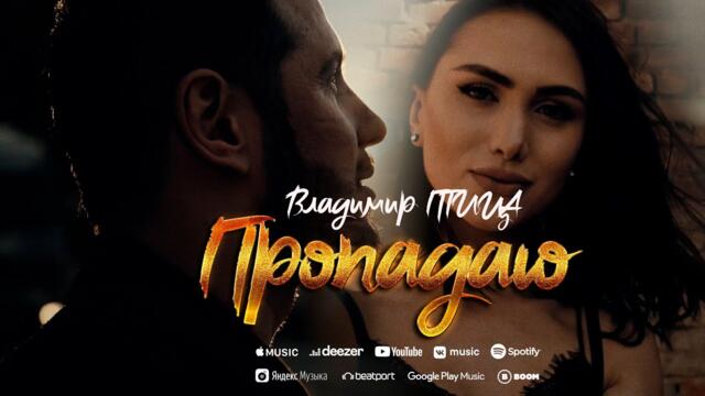 ВЛАДИМИР ПТИЦА  -  ПРОПАДАЮ