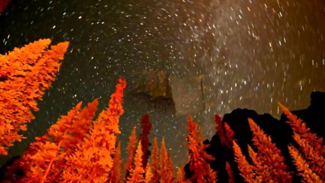 ИГОРЬ СЛУЦКИЙ   -   ВРЕМЯ ПОКАЖЕТ