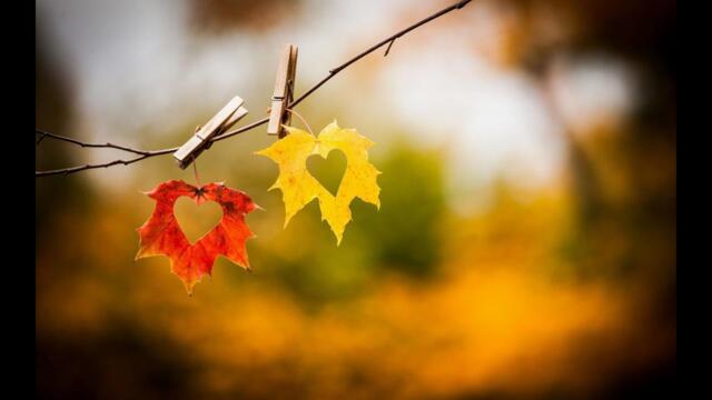 СЕРГЕЙ ГРИЩУК   -    ПАДАЛИ ЛИСТЬЯ