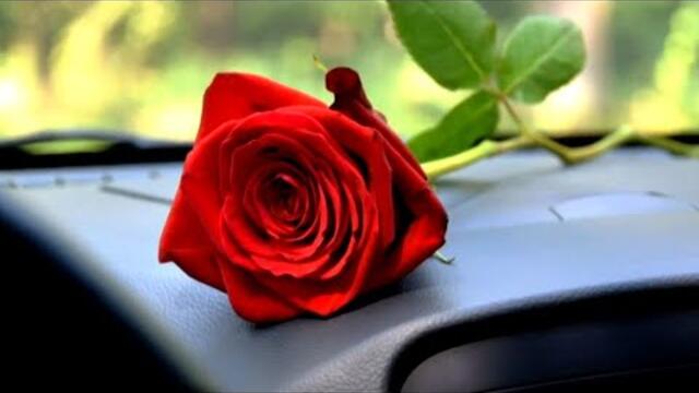 Валерий Власов ★ Любовь атакует.