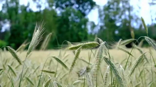 Rick Warren: How to TRUST GOD When You Don’t Like the Changes in Your Life!