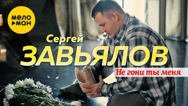 Сергей Завьялов - Не гони ты меня