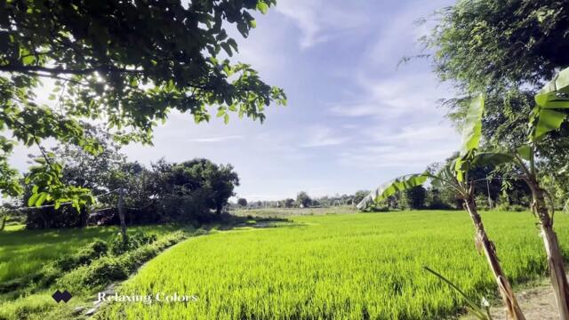 Relaxing For Beautiful Life-Number 7