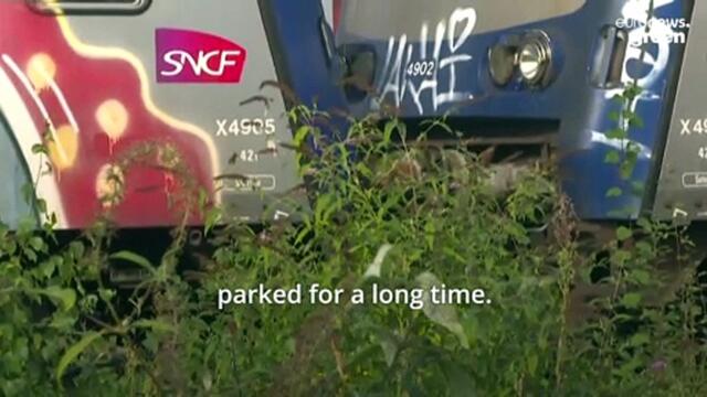 After 40 years in a graveyard, these French trains are coming back to life