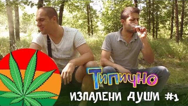 Изпалени души #1 - Типично Shorts
